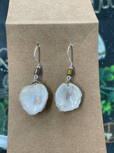 Load image into Gallery viewer, Shell earrings