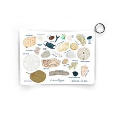 Load image into Gallery viewer, Seashell Guide, Waterproof Shell Reference, Beach Bag, ID