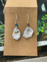 Load image into Gallery viewer, Shell earrings