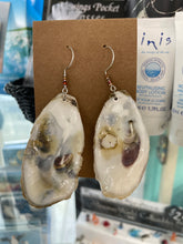 Load image into Gallery viewer, Shell earrings