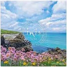 Load image into Gallery viewer, Inis