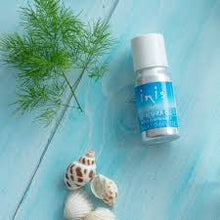 Load image into Gallery viewer, Inis