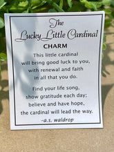 Load image into Gallery viewer, Pocket charm