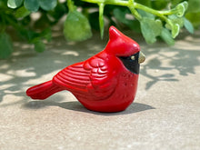 Load image into Gallery viewer, Pocket charm