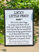 Load image into Gallery viewer, Pocket charm