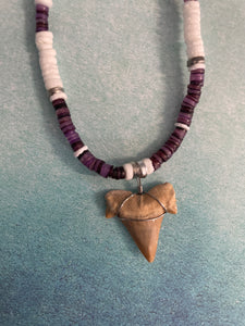 Shark Tooth Necklace