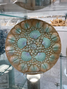 Shell Stepping Stone
