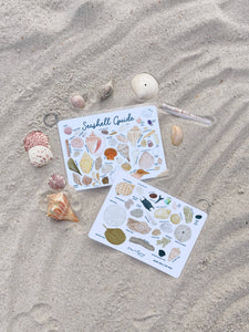 Seashell Guide, Waterproof Shell Reference, Beach Bag, ID