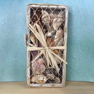 Basket of Shells