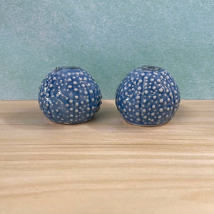 Sea Urchin S&P
