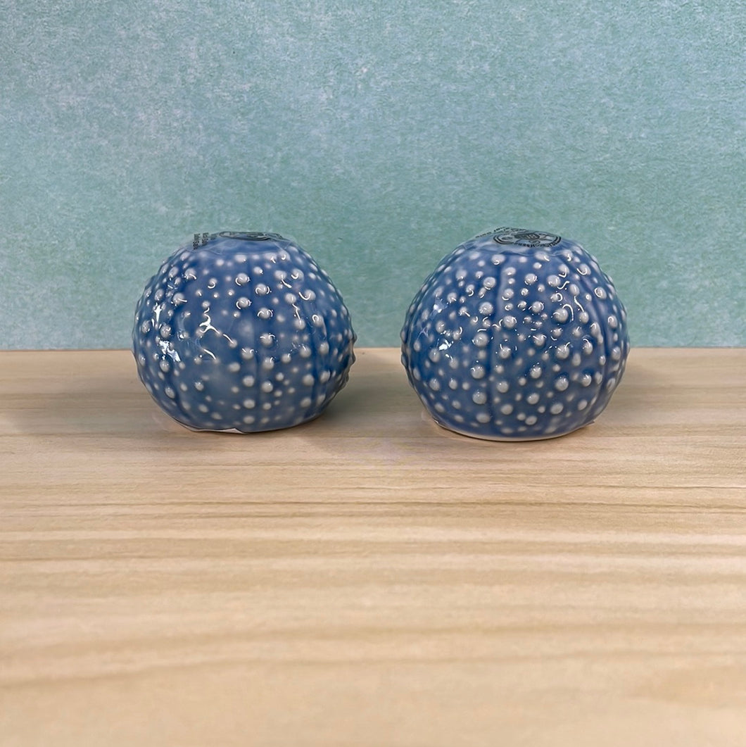 Sea Urchin S&P