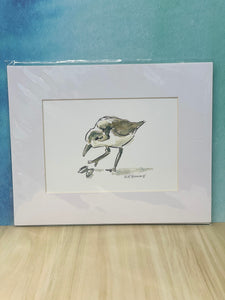 Sanderling - Print