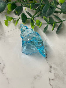 Seashell Ornament