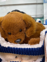 Load image into Gallery viewer, Snuggle&#39;n Puppy Plush
