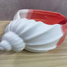Load image into Gallery viewer, Coral &amp; Bisque Shell Bowl
