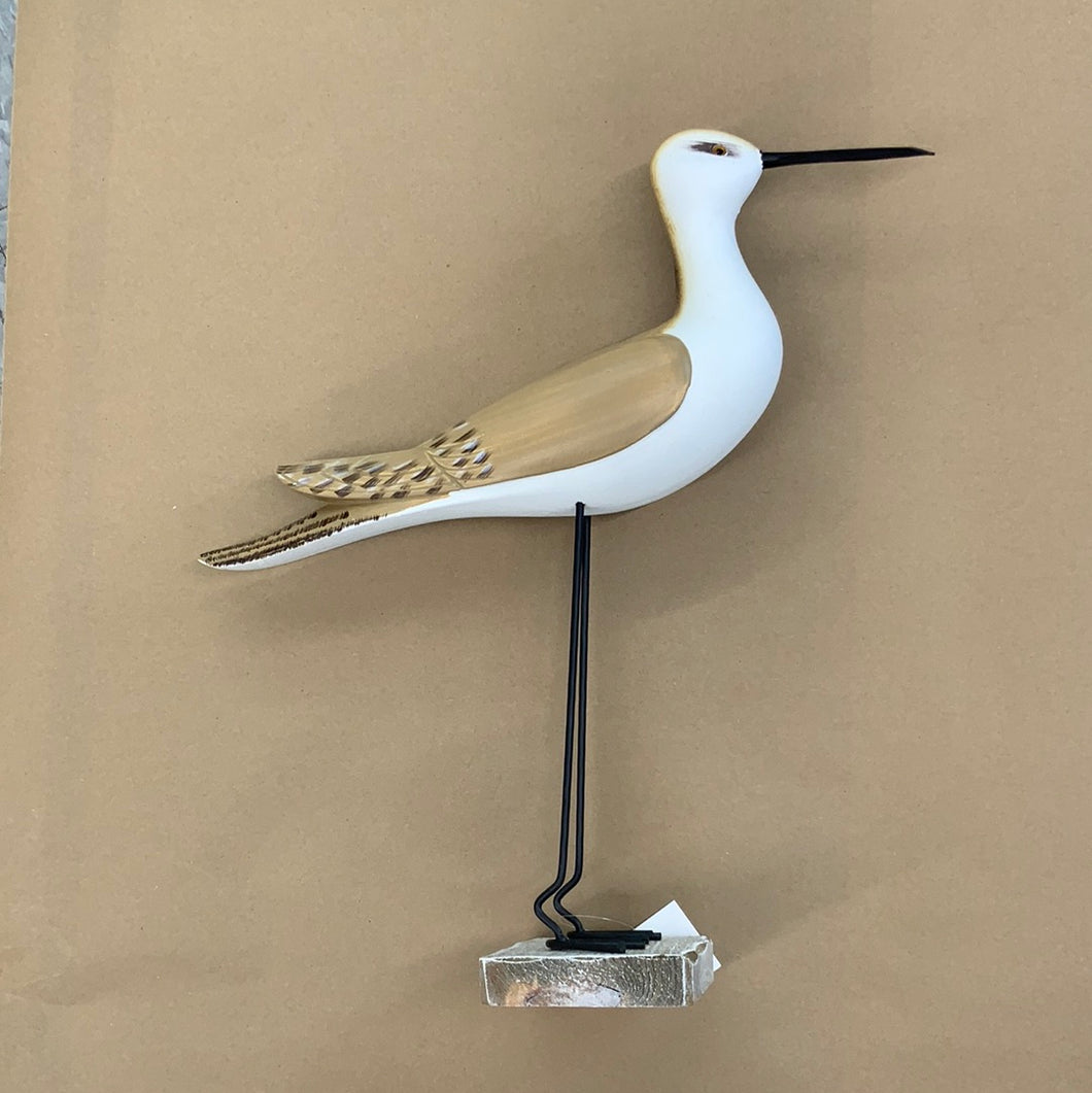 Shorebird