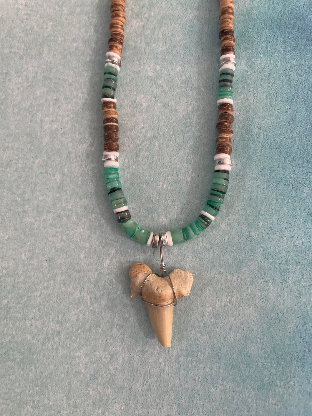 Shark Tooth Necklace