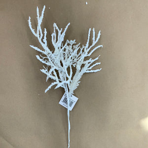 Small Beaded Coral - White
