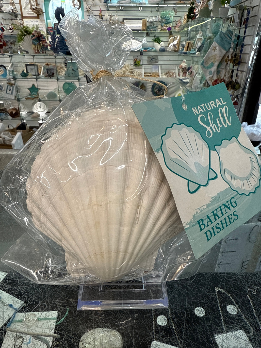 Natural Shell - Baking Set