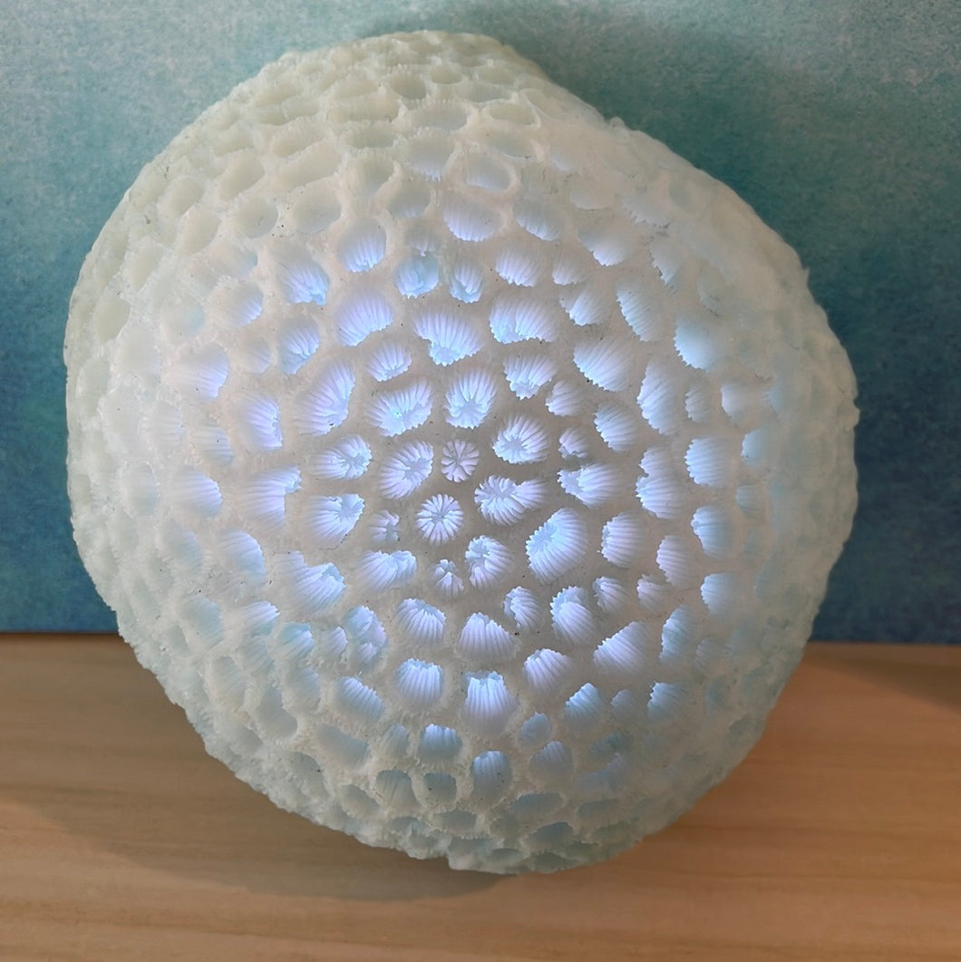 Coral LED