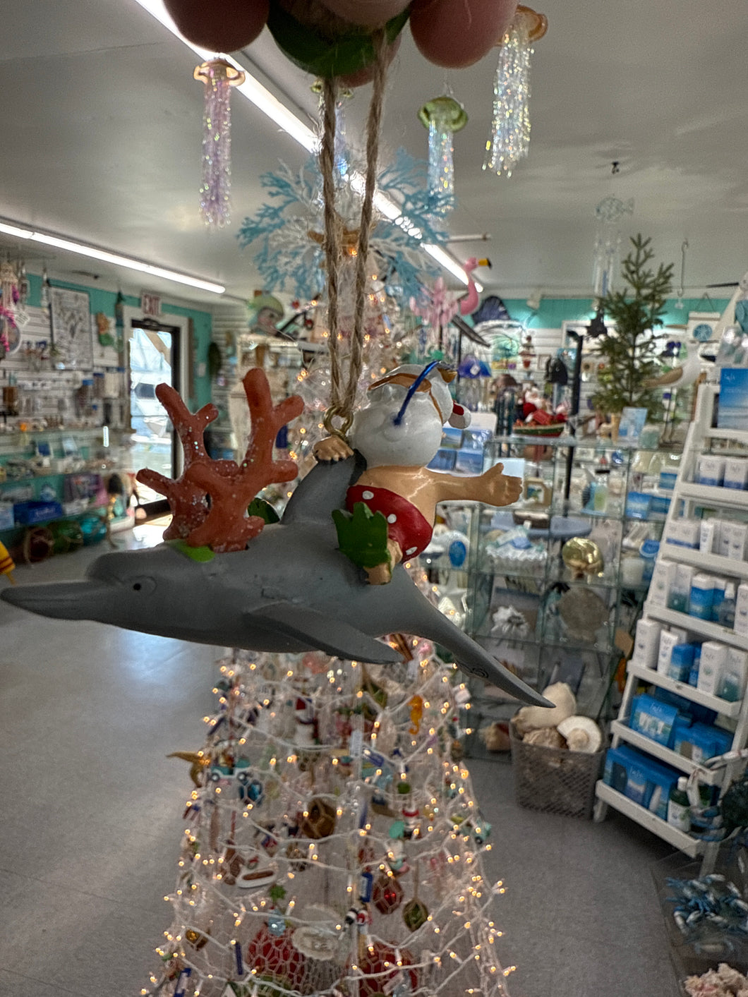 Santa Riding Dolphin