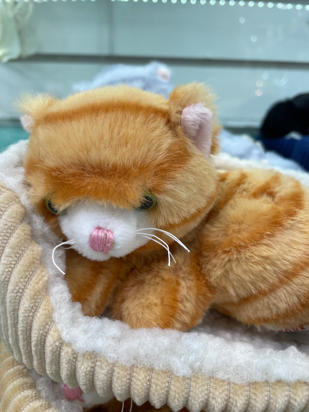 Snuggle'n Kitten Plush
