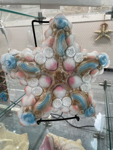 Shell Stepping Stone