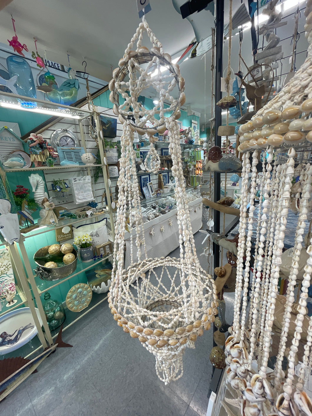 Shell Chandelier