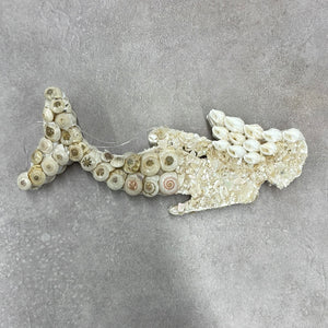 Shell Mermaid