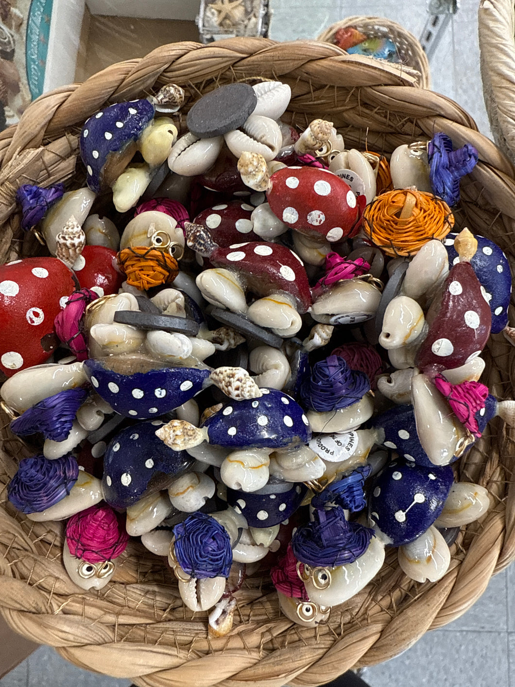 Spotted Cowrie Turtle