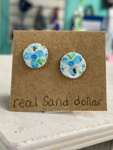 Shell earrings