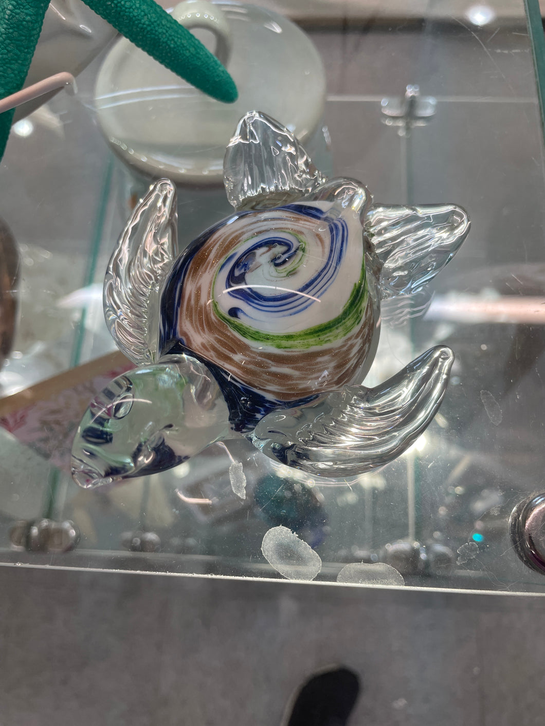 Glass Turtle