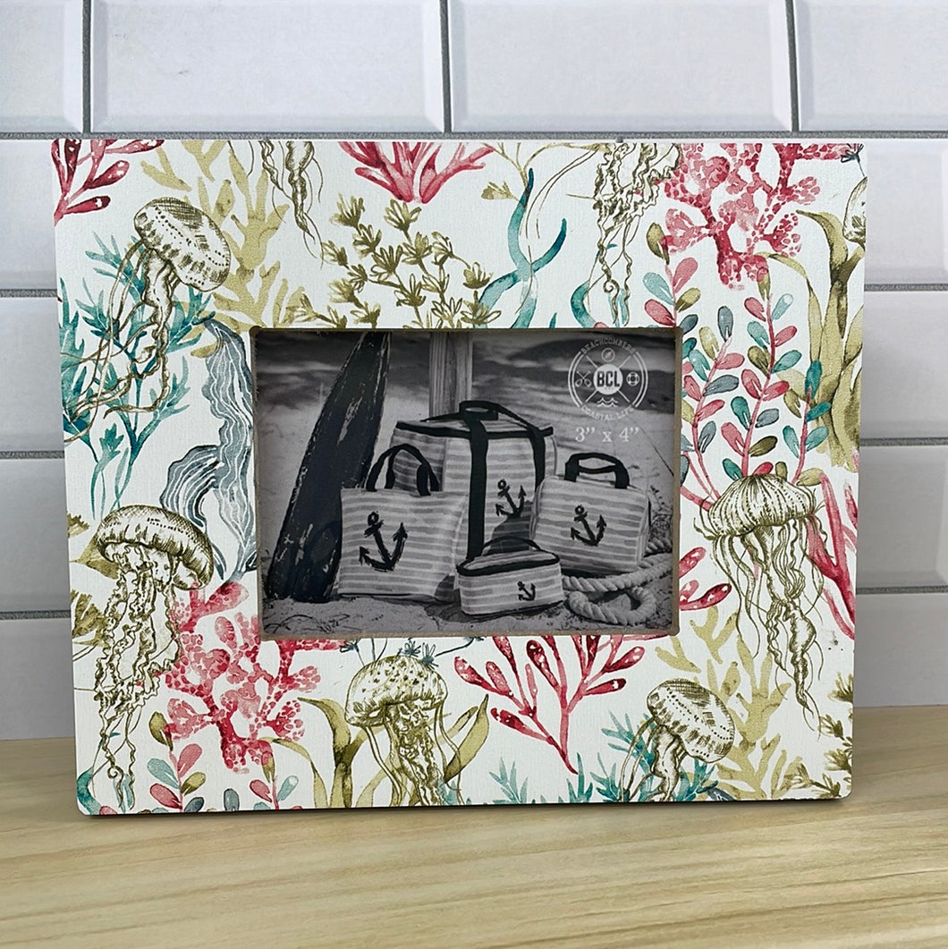 Delphina Reef Frame