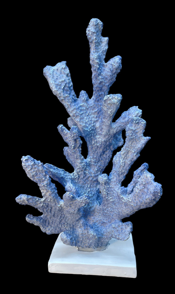 Coral Tree