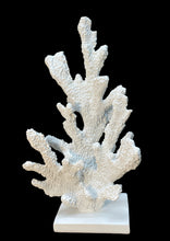Load image into Gallery viewer, Coral Tree
