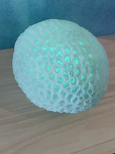 Load and play video in Gallery viewer, Coral LED
