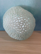 Load and play video in Gallery viewer, Coral LED
