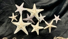 Load image into Gallery viewer, Capiz Starfish Wall Decor
