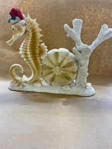 Seahorse Joy