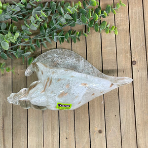 White/Brown Glass Shell