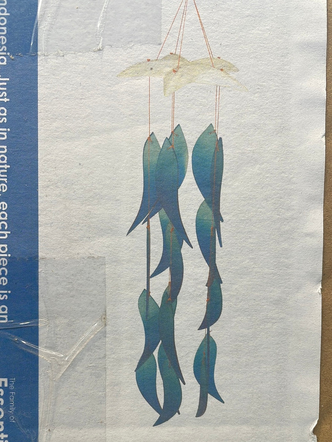 Fish Catch