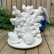 Load image into Gallery viewer, Coral Dish
