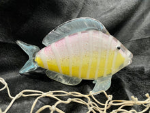 Load image into Gallery viewer, Tropical stripe fish
