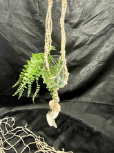 Load image into Gallery viewer, Shell Hanging Planter - Dangles
