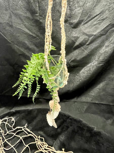 Shell Hanging Planter - Dangles