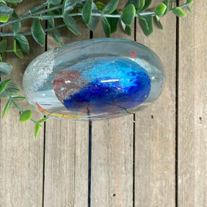 Red/Blue Jellyfish Paperweight