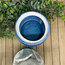 Load image into Gallery viewer, Coral Dish
