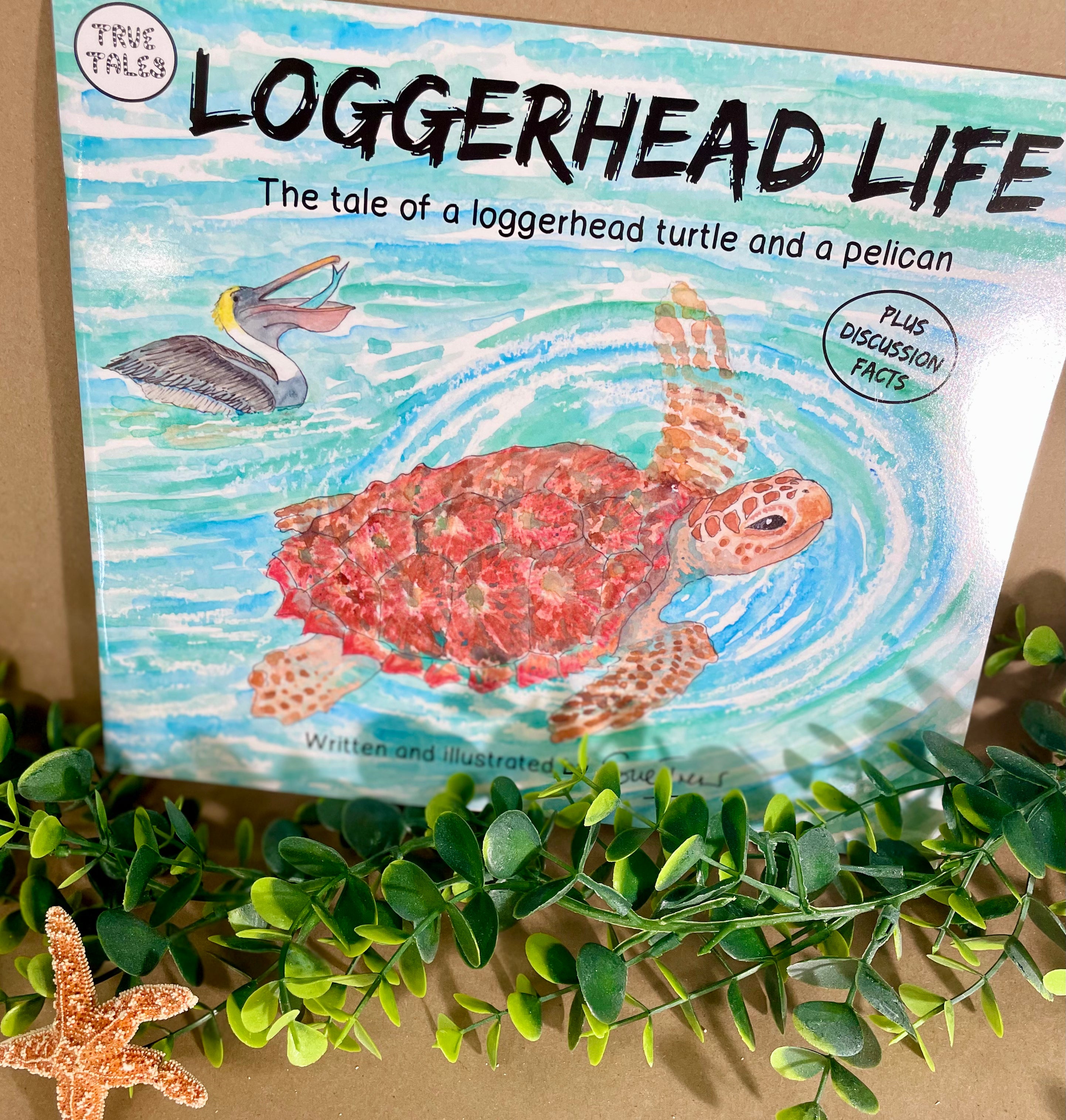 Loggerhead Life: Storybook