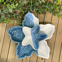 Load image into Gallery viewer, Sea Star Plate

