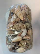 Load image into Gallery viewer, Bag of shells
